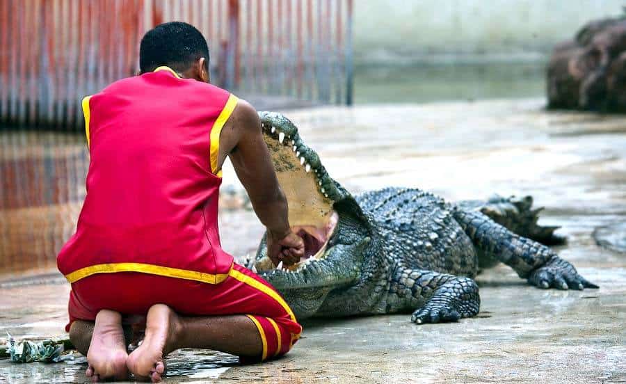 Таиланд с ребенком куда лучше