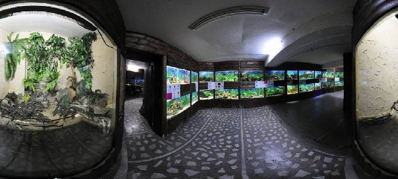 Залы аквариума Алушты