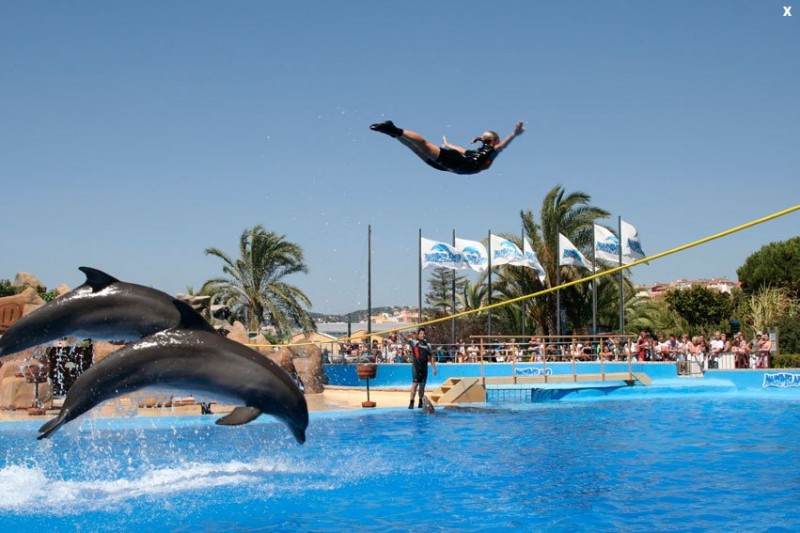 Зоопарк и дельфинарий Marineland Catalunya