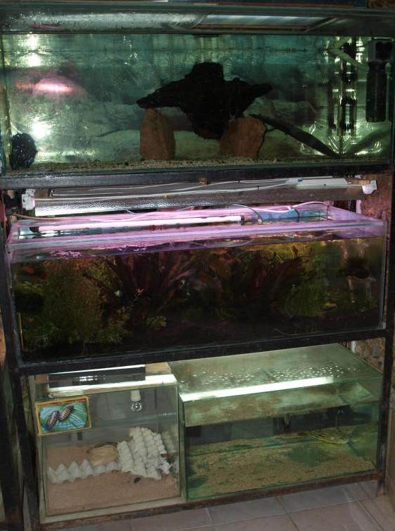 Симферопольский аквариум