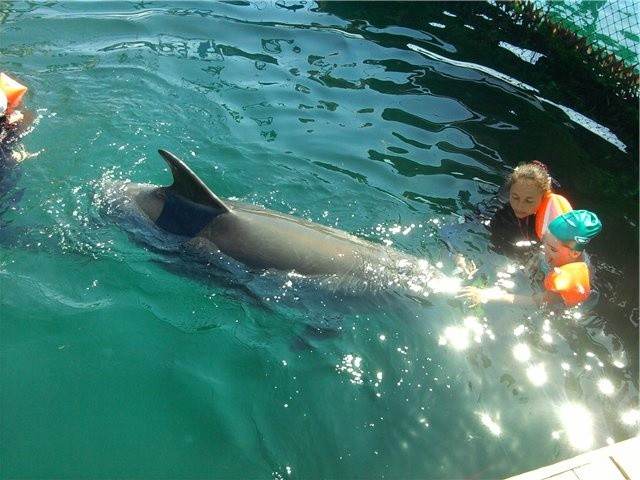 Севастопольский дельфинарий в Казачьей бухте