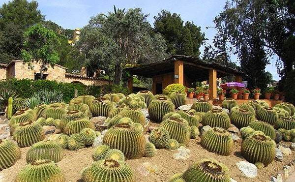 Ботанический сад Пинья де Роса