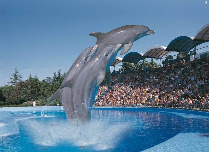 Зоопарк и дельфинарий Marineland Catalunya