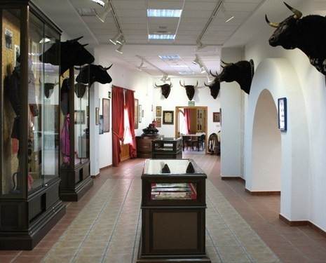 Арена для корриды и музей боя быков