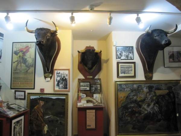 Арена для корриды и музей боя быков