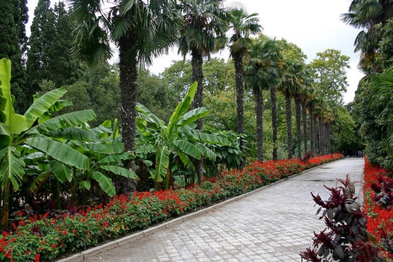 Тропинками ботанического сада