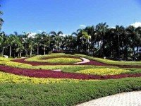 Тропический сад деревни Нонг Нуч