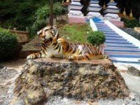 Тигровая пещера Tham Sua