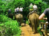 Треккинг на слонах по Краби