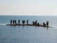 Рыбалка в Чёрном море