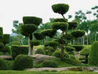 Тропический сад деревни Нонг Нуч