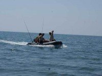Рыбалка в Чёрном море