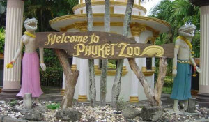 Зоопарк на острове Пхукет
