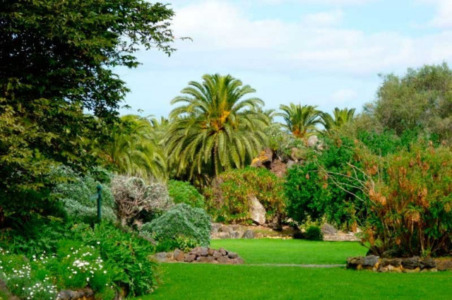Ботанический сад Виера-и-Клавихо