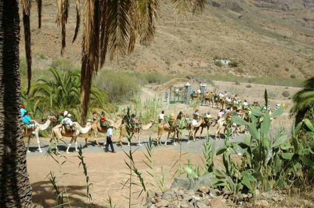 Верблюжий сафари парк Ла Баранда