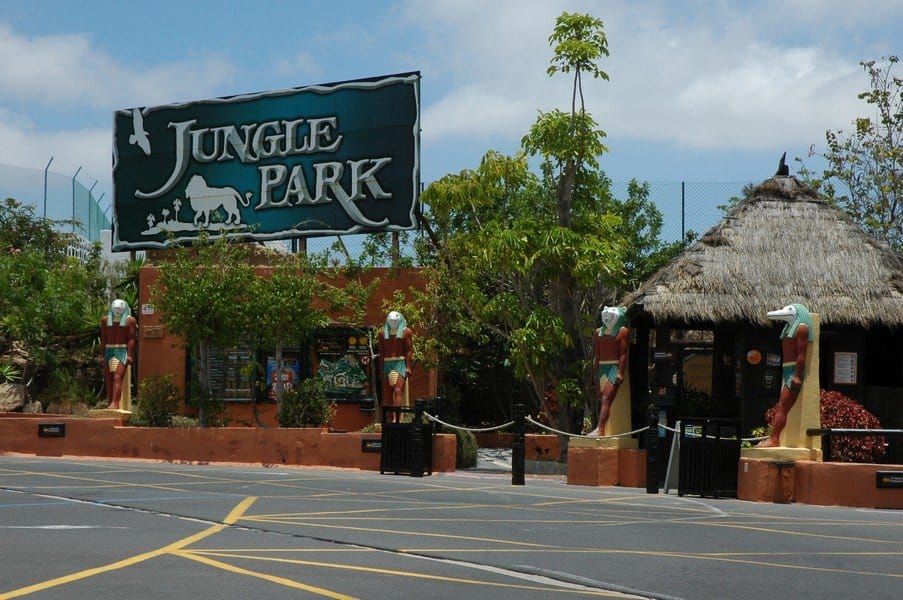 Вход в зоопарк Jungle Park