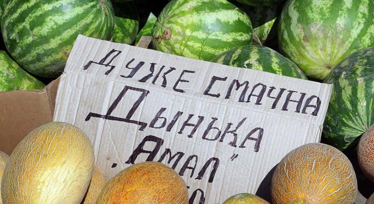 Крымские фрукты: дыни и арбузы