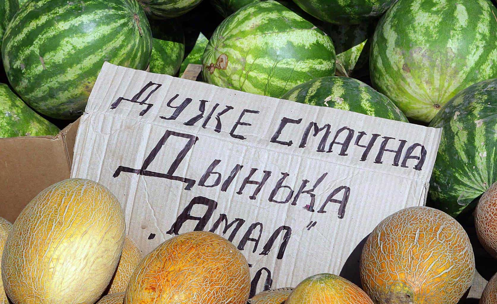 Крымские фрукты: дыни и арбузы
